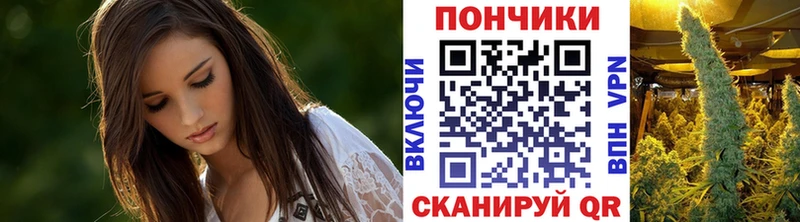 Где найти наркотики Гаврилов Посад Каннабис  СОЛЬ  ГАШ  Галлюциногенные грибы  Мефедрон 