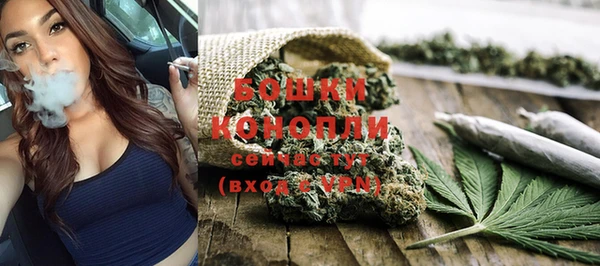 индика Сосновоборск