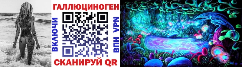 купить наркоту  Гаврилов Посад  ссылка на мегу вход  Галлюциногенные грибы Psilocybine cubensis 